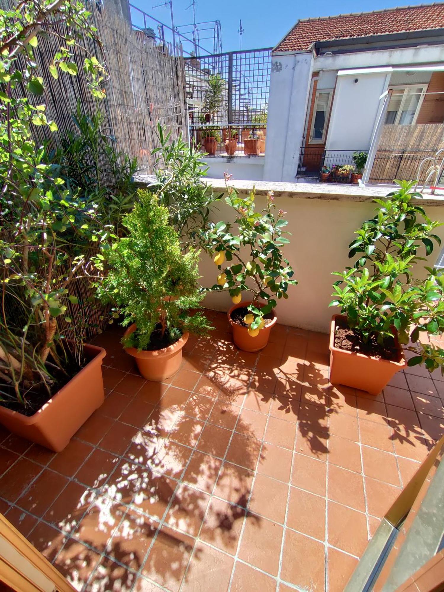 La Dimora Degli Artisti Bed & Breakfast Pescara Ruang foto